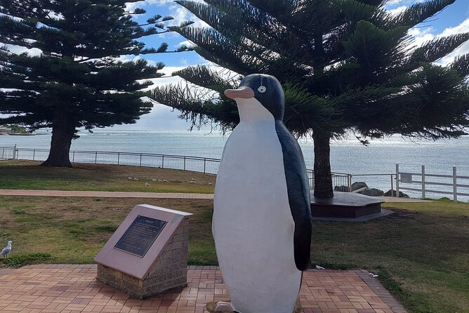 Burnie Attractions Bus: Burnie Shore Excursion - Fernglade Reserve and a second wildlife chance