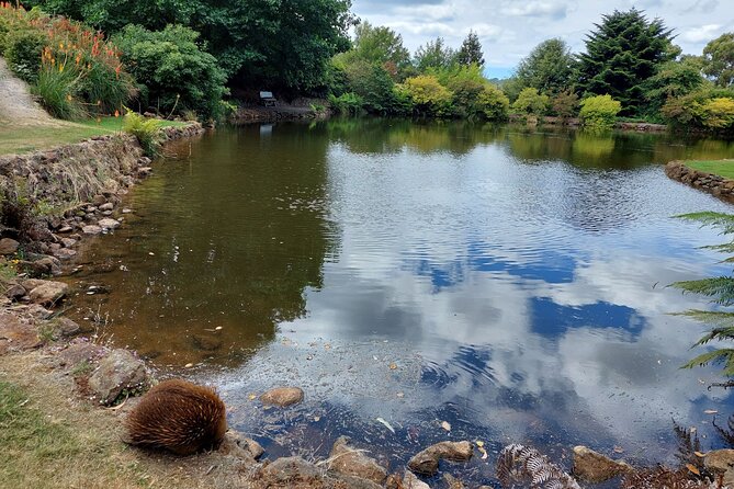 Burnie Attractions Bus: Burnie Shore Excursion - Guide Falls for Regatta passengers
