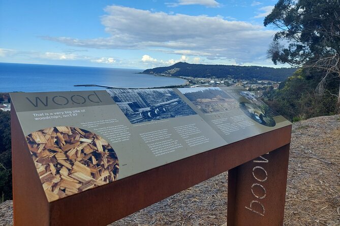 Burnie Attractions Bus: Burnie Shore Excursion - Upper Burnie Lookout and the first ship photograph