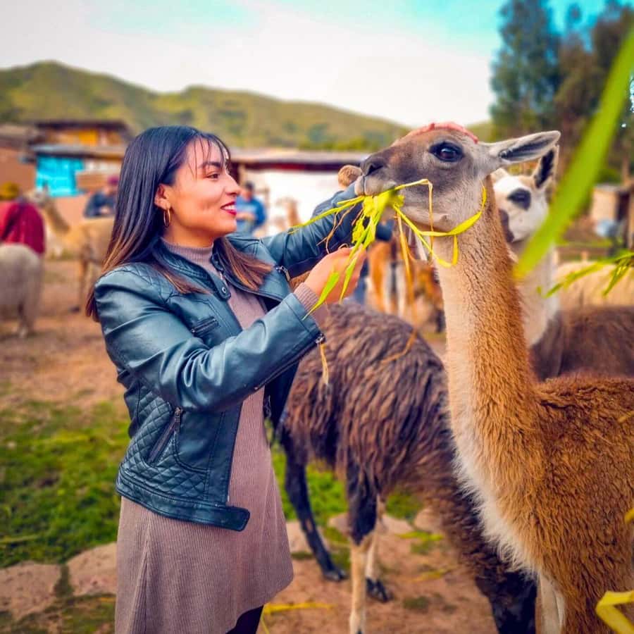 BUS 180 CUSCO - How much value does $37 offer?