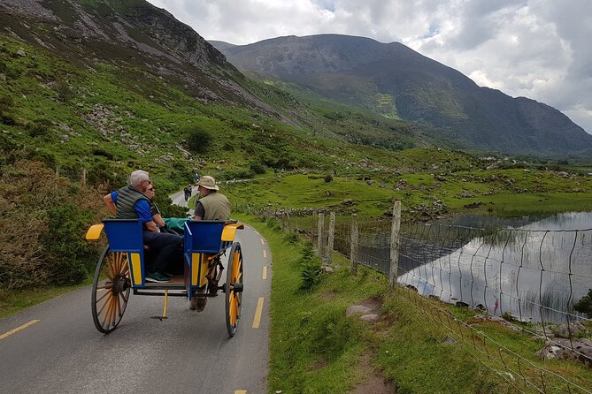 Bus, Boat & Jaunting Cart Tour (Jaunting Cart Paid Separately) - Why this combination works so well in Killarney