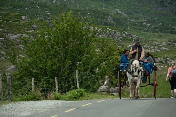 Bus, Boat & Jaunting Cart Tour (Jaunting Cart Paid Separately) - Weather, walking, and the physical effort