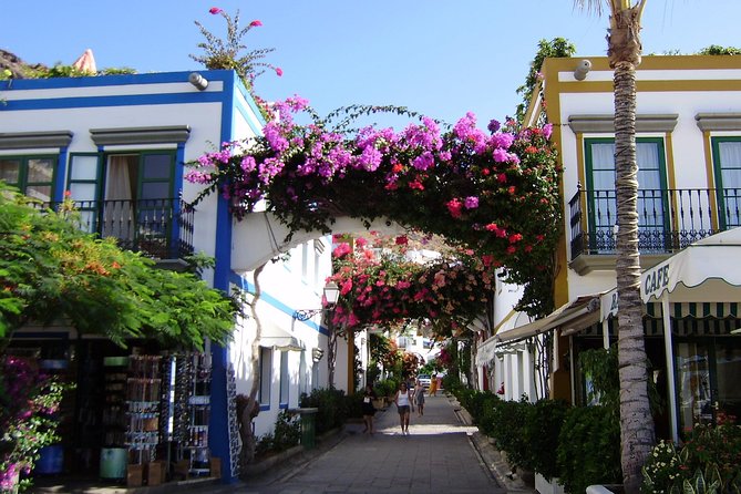 Bus to the local market of Puerto de Mogan - Lunch, drinks, and the practical toilet tip