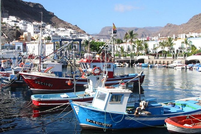 Bus to the local market of Puerto de Mogan - Is the $27.71 price good value?