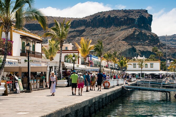 Bus to the local market of Puerto de Mogan - Who should take this Puerto de Mogan excursion?