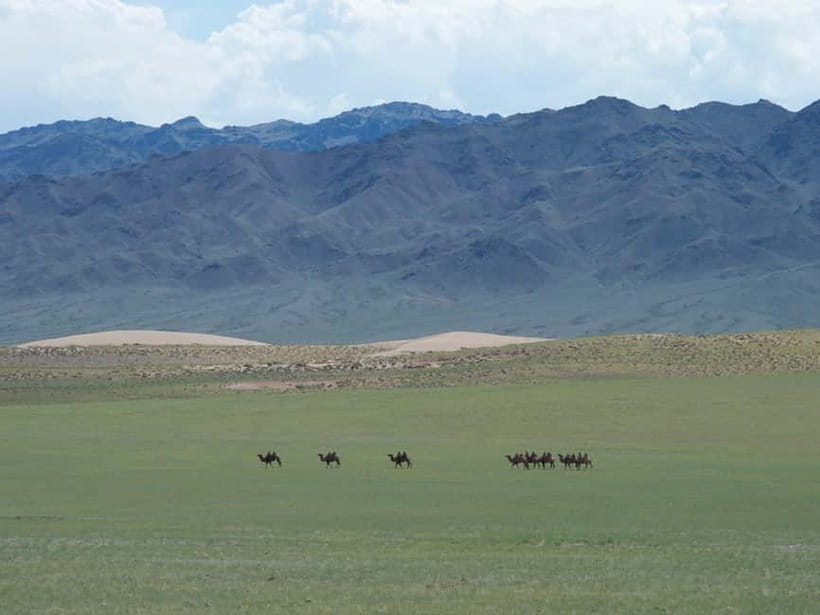 Bus tour to visit Gobi 4 day - Should You Book It?