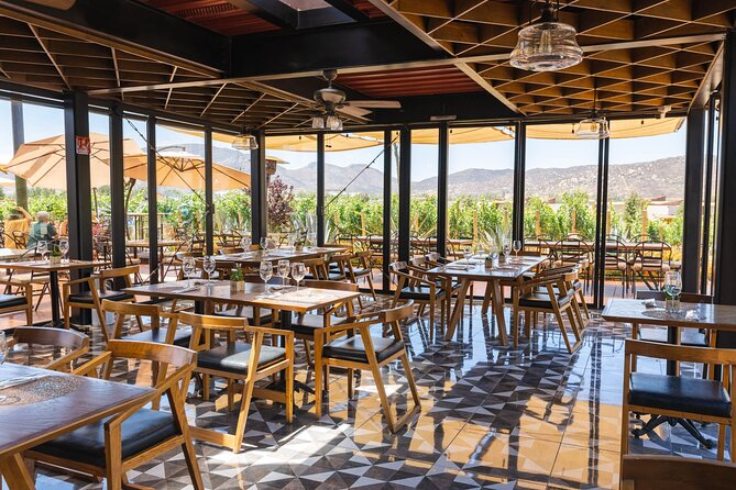 Bus Wine Tour by Ansell Tours - Vina de Frannes: vineyards beside a canyon