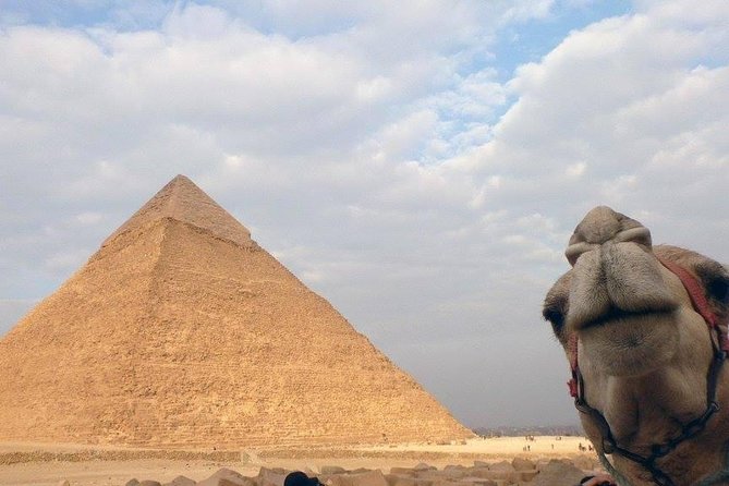 Cairo From Hurghada By Bus - The Egyptian Museum: two hours with ancient kings and queens