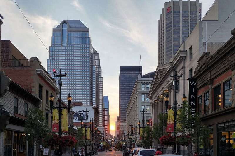 Calgary: 3-Hour Sightseeing Bus Tour - What the guides add to the ride