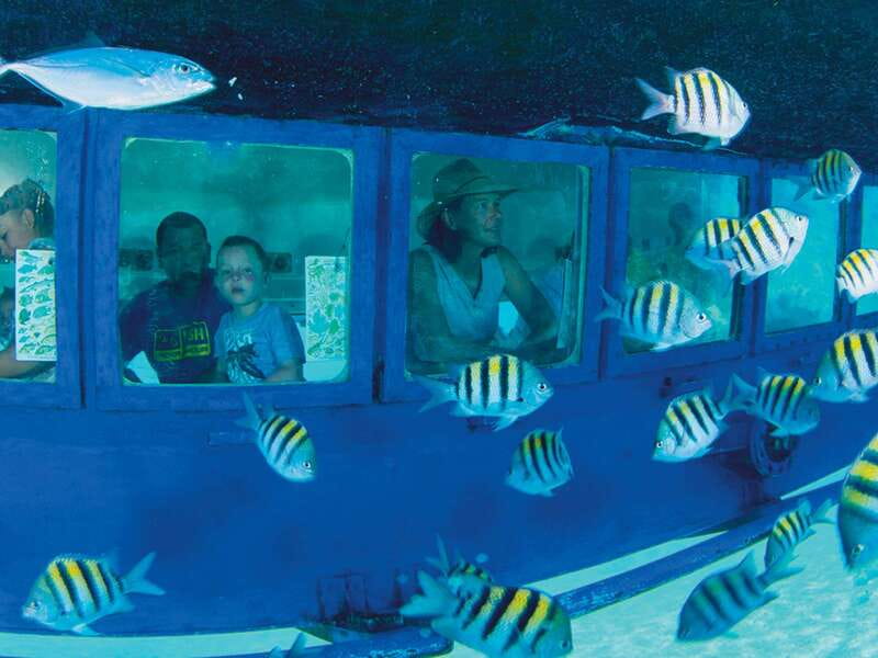 Cancún: Hop-on Hop-off Bus Tour with Submarine Trip - Starting at ADO Cancún Centro
