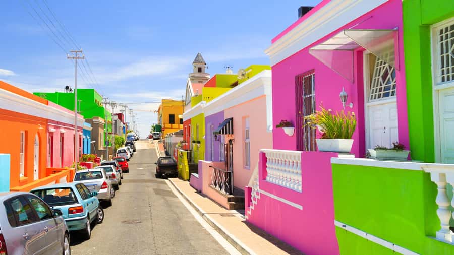 Cape Town: Half-Day Guided City Sightseeing Tour by Bus - Company’s Gardens and the Iziko South African Museum