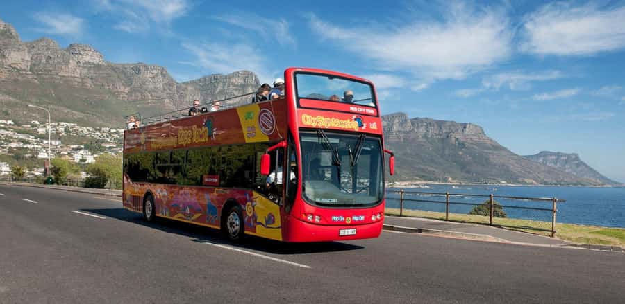 Cape Town: Hop-On Hop-Off Bus Tour with Optional Cruise - What to bring and what can go wrong