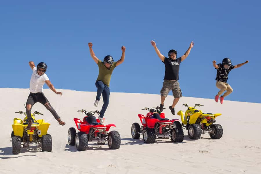 Cape Town: Premium Attractions City Pass with Bus Tour - The bus is the pass’s practical backbone