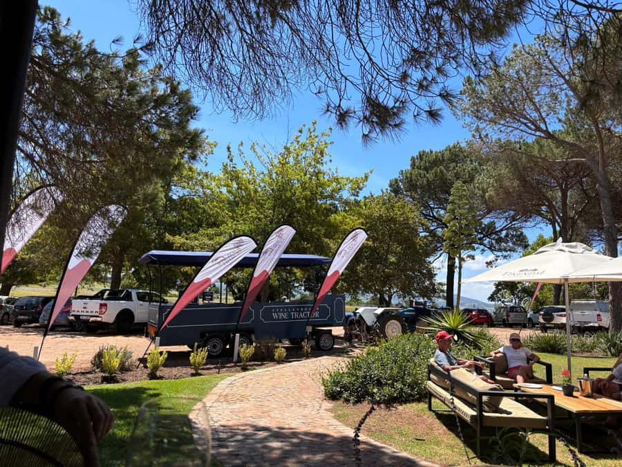 Cape Town: Stellenbosch Hop-On Hop-Off Tractor Transfer - Key points to know before you go