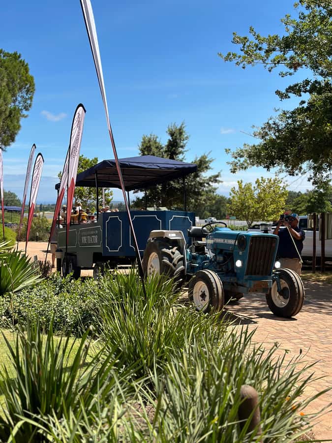 Cape Town: Stellenbosch Hop-On Hop-Off Tractor Transfer - Why the tractor ride makes the day