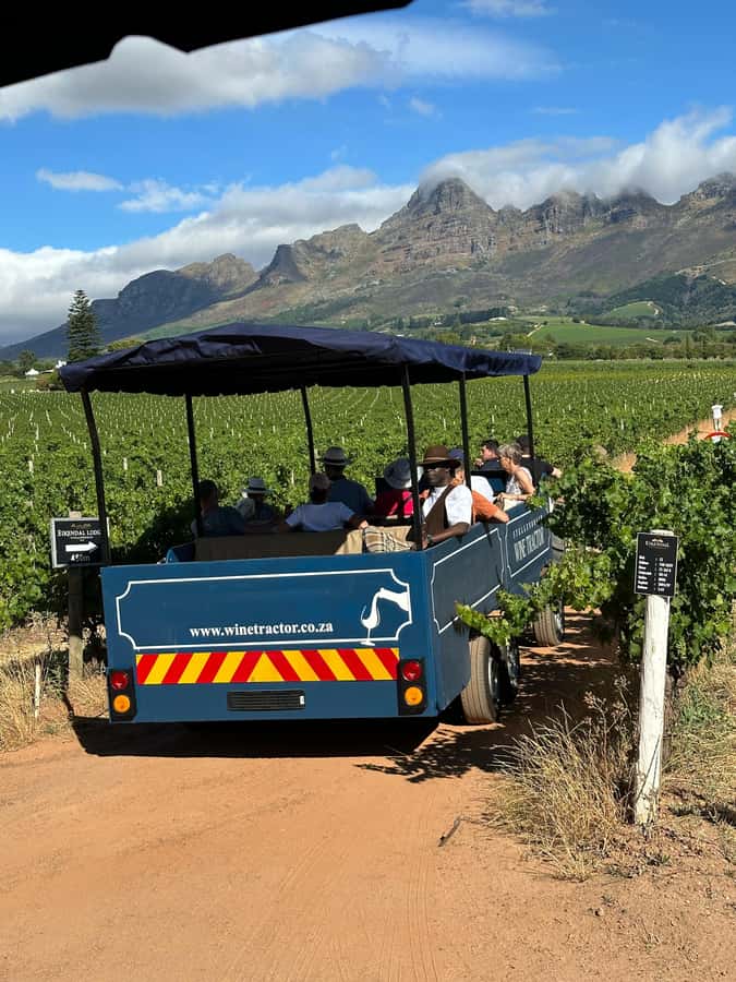 Cape Town: Stellenbosch Hop-On Hop-Off Tractor Transfer - Weather, clothing, and comfort