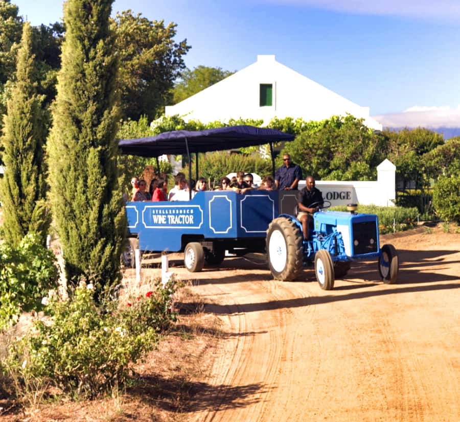 Cape Town: Stellenbosch Hop-On Hop-Off Tractor Transfer - Starting at Eikendal Wine Estate