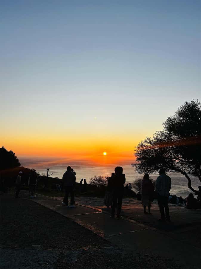 Cape Town: Sunset Bus Tour with Picnic on Signal Hill - What $17 covers, and what it does not