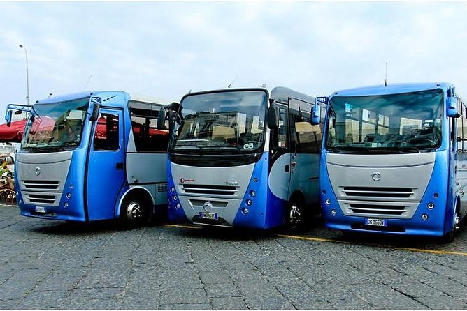 CAPRI - DIY Day Trip Package - BoatTour, BlueGrotto,Bus&Lunch - Lunch at La Giara in Anacapri