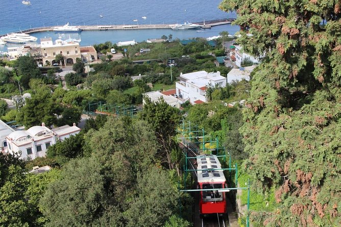 CAPRI - DIY Day Trip Package - BoatTour, BlueGrotto,Bus&Lunch - Returning through Capri center and the Piazzetta