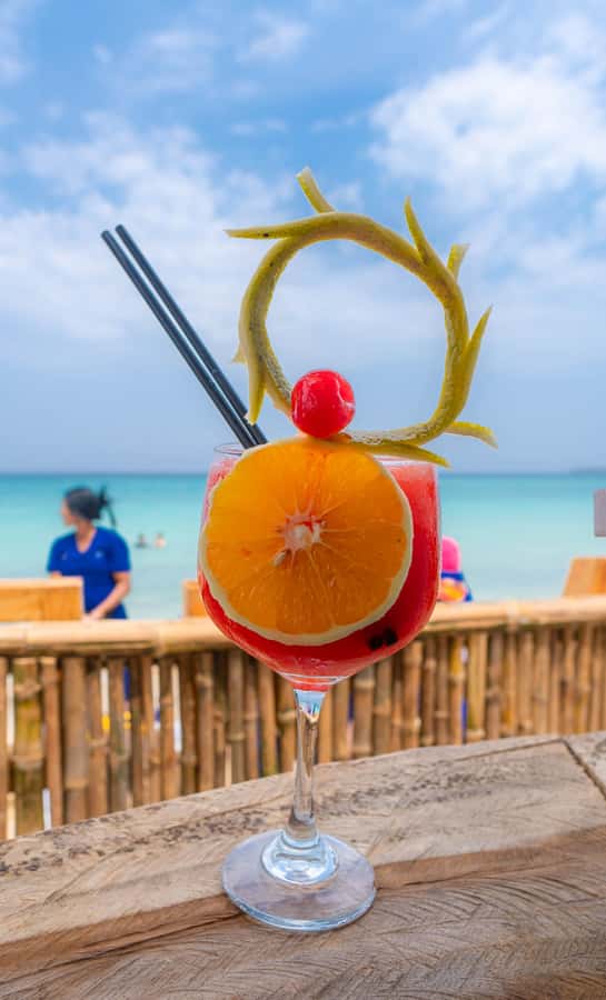 Cartagena: Day Trip Aviary and enjoy Playa Blanca by bus - Key points to know before booking