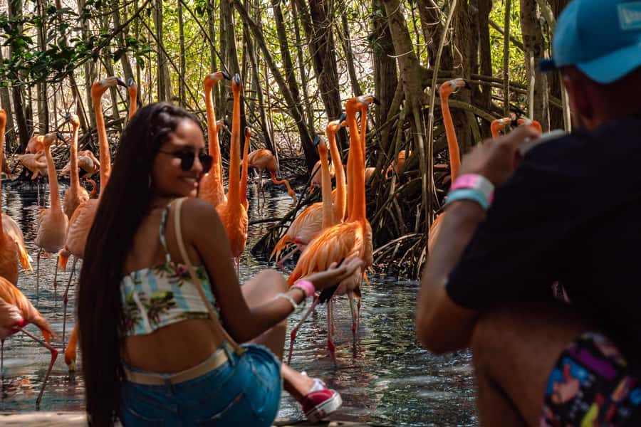 Cartagena: Day Trip Aviary and enjoy Playa Blanca by bus - Two very different Barú experiences in one day