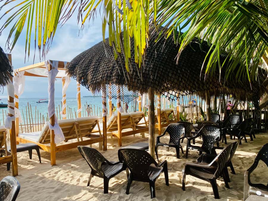 Cartagena: Day Trip Aviary and enjoy Playa Blanca by bus - Starting early from Cartagena’s tourist districts