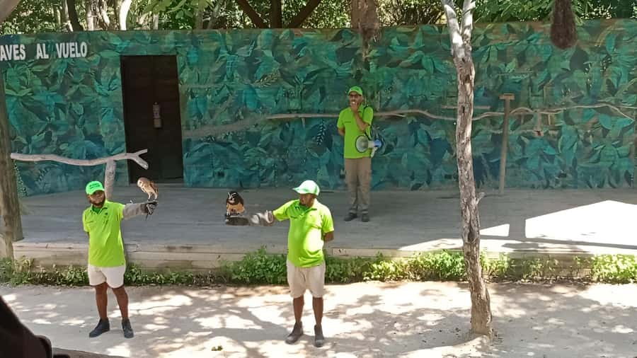 Cartagena: Daytour Aviary and Playa blanca, Barú by bus! - Why combine the aviary with Playa Blanca?