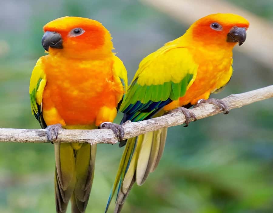 Cartagena: Daytour Aviary and Playa blanca, Barú by bus! - What the US$47 price really covers