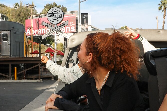 Celebrity Homes Tour & Hop-on Hop-off Bus Tour Package - Who should book this package?