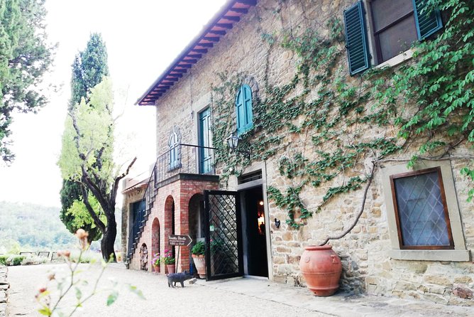 Chianti Wine Tour with Tuscan Lunch Open Top Van - Who should book this Chianti day trip