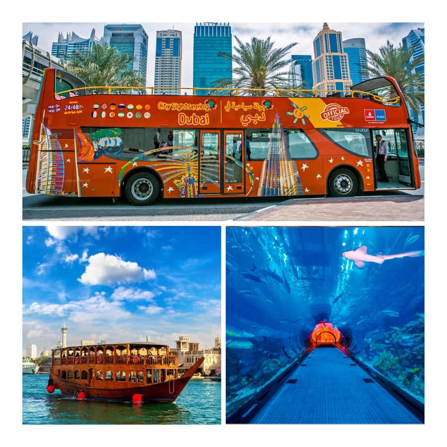 City Sightseeing Dubai Hop-On Hop-Off Bus Tour & Dhow Cruise - Key points to know before you book