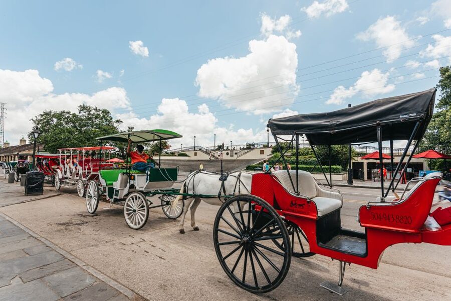 City Sightseeing New Orleans HOHO Bus Tour & Bookable Extras - Canal Street, Bourbon Street, and the casino stop