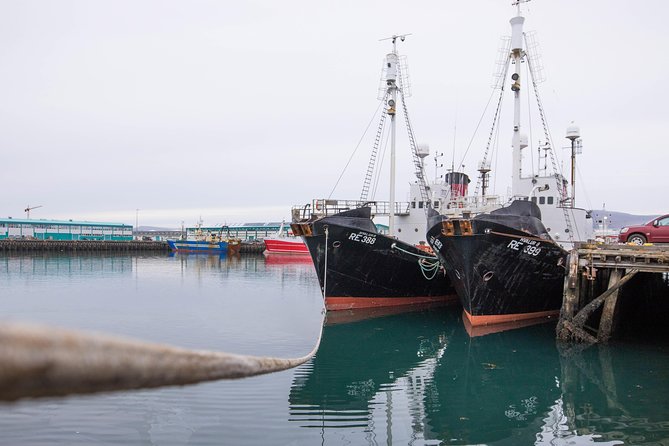 City Sightseeing Reykjavik Hop-On Hop-Off Bus Tour: 24 or 48-Hour - Skarfabakki Harbour extends the route beyond downtown