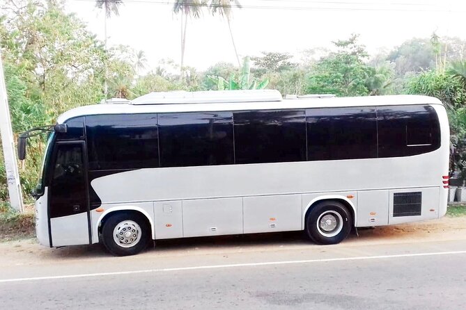 Colombo to Kandy Bus (Reserved Seats) - Air Conditioned - Starting at the World Trade Center in Colombo