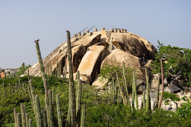 Colorful Beach Bus Sightseeing Tour of Aruba - Arashi Beach: your best chance to slow down