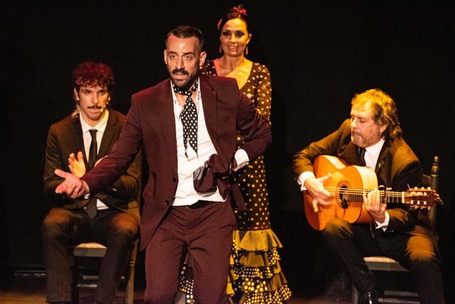 Combo: Hop on hop off + Flamenco Show & Walking tours - How This Seville Combo Fits Together
