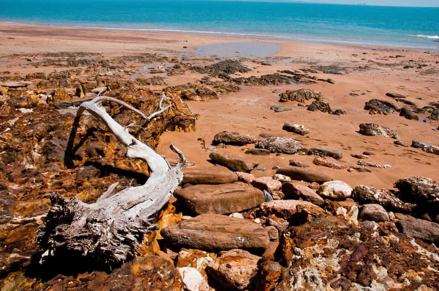 Darwin: Big Bus Open-Top Hop-on Hop-off Tour - Key points to know before you board