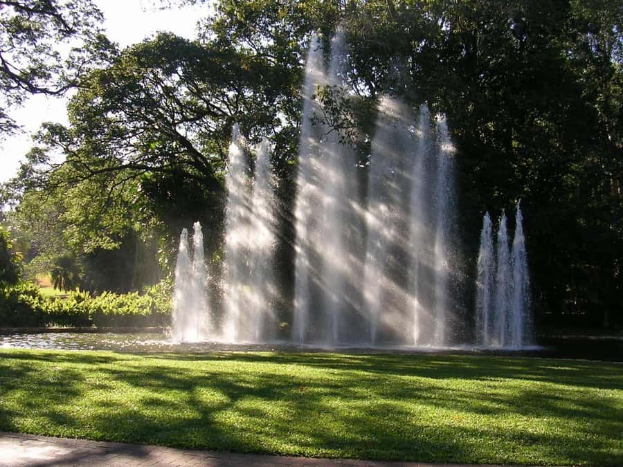 Darwin: City Explorer Bus Tour with Tour Tub - A drive through the Botanic Gardens
