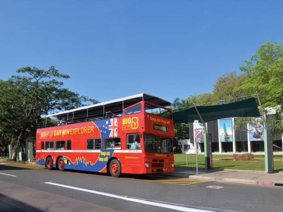 Darwin: Crocosaurus Cove Entry & Hop-on-Hop-Off Bus Tour - Crocosaurus Cove puts Darwin’s wildlife in the center