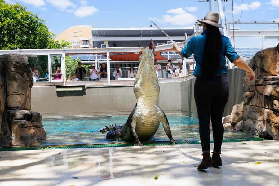 Darwin: Crocosaurus Cove Entry & Hop-on-Hop-Off Bus Tour - Three useful stops for your Darwin day