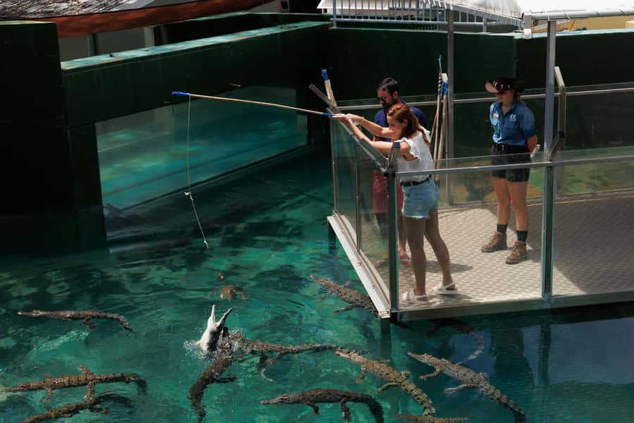 Darwin: Crocosaurus Cove Entry & Hop-on-Hop-Off Bus Tour - How the $58 price works for you