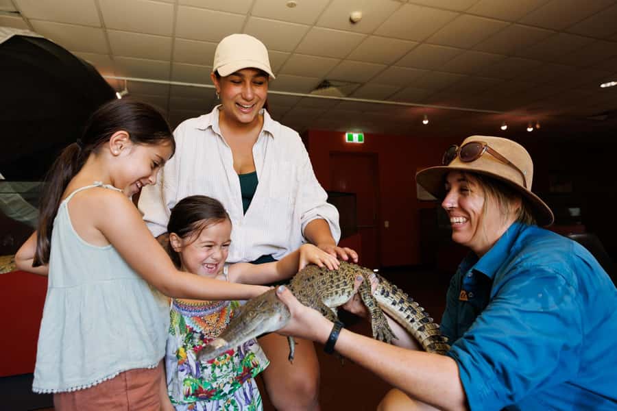 Darwin: Crocosaurus Cove Entry & Hop-on-Hop-Off Bus Tour - The reptile displays suit more than crocodile fans