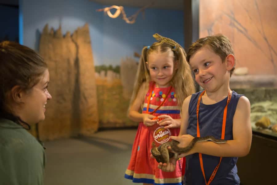 Darwin: Hop-On Hop-Off Bus, Crocosaurus Cove and RFDS Entry - The Royal Flying Doctors Service story