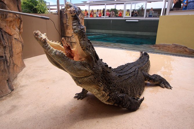 Darwin Hop-on Hop-off Bus Tour - Stop 1: Top End Visitor Information Centre