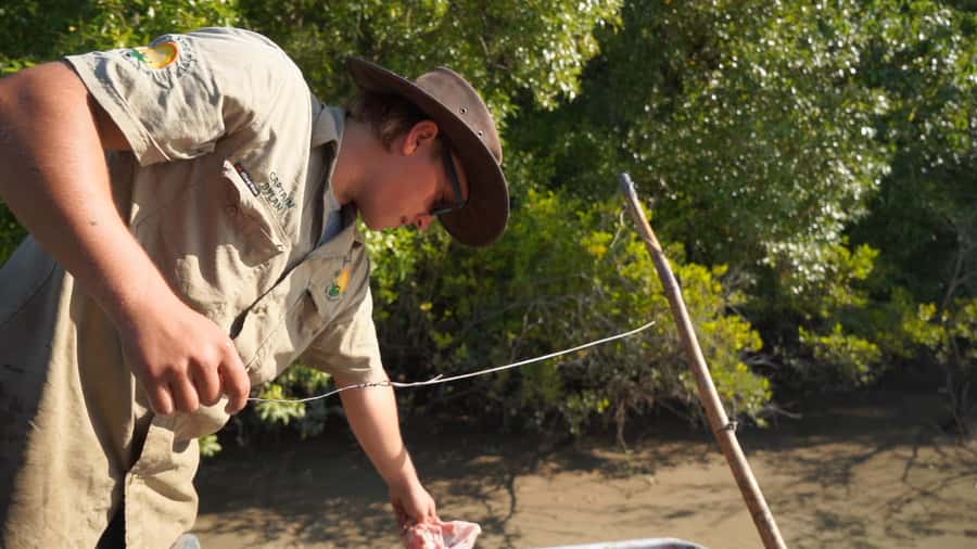 Darwin: The Croc Bus to the Famous Jumping Crocodile Cruise - Safety and the nature of the encounter