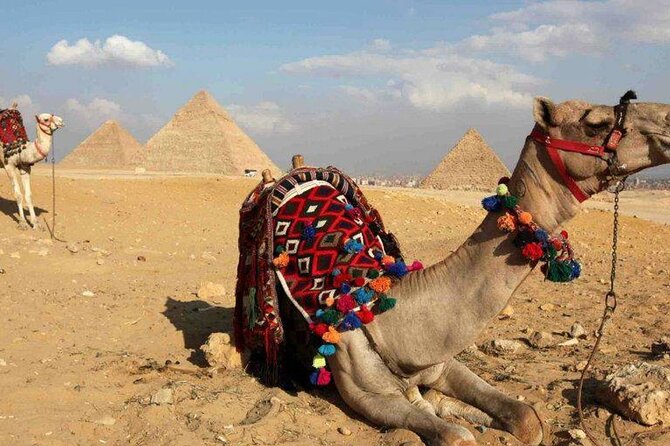 Day Trip to Cairo from Hurghada By Bus - Bazaar, papyrus, and perfume stops