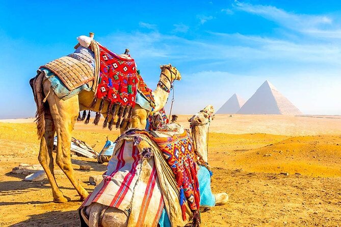 Day Trip to Cairo from Hurghada by Bus with Lunch & Guide - The long return to Hurghada