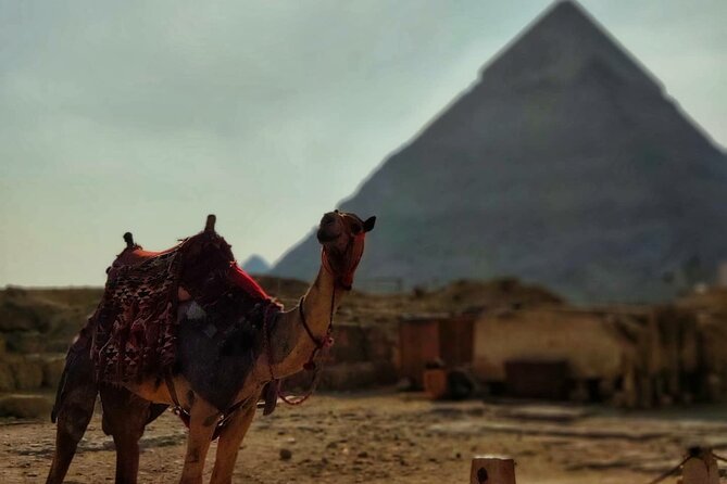 Day Trip to Cairo From Sharm El-Sheikh by Bus - The 1:00 am pickup and the long road to Cairo