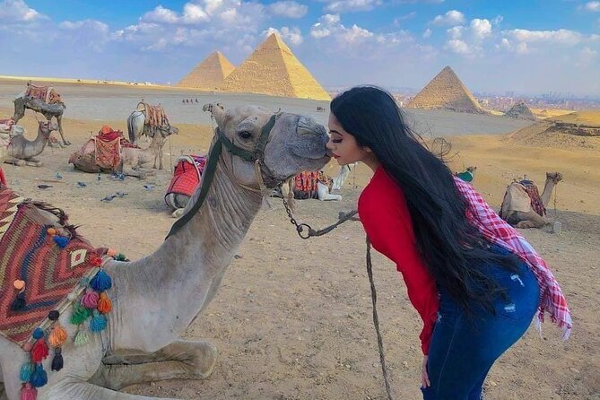 Day Trip to Cairo From Sharm El-Sheikh by Bus - Who should book this Cairo day trip?